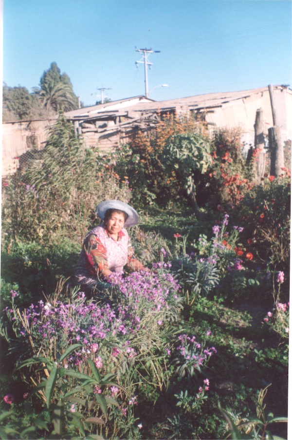 Yolanda Salinas Yolanda Salinas