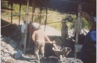 Trabajadores en una obra en construcción