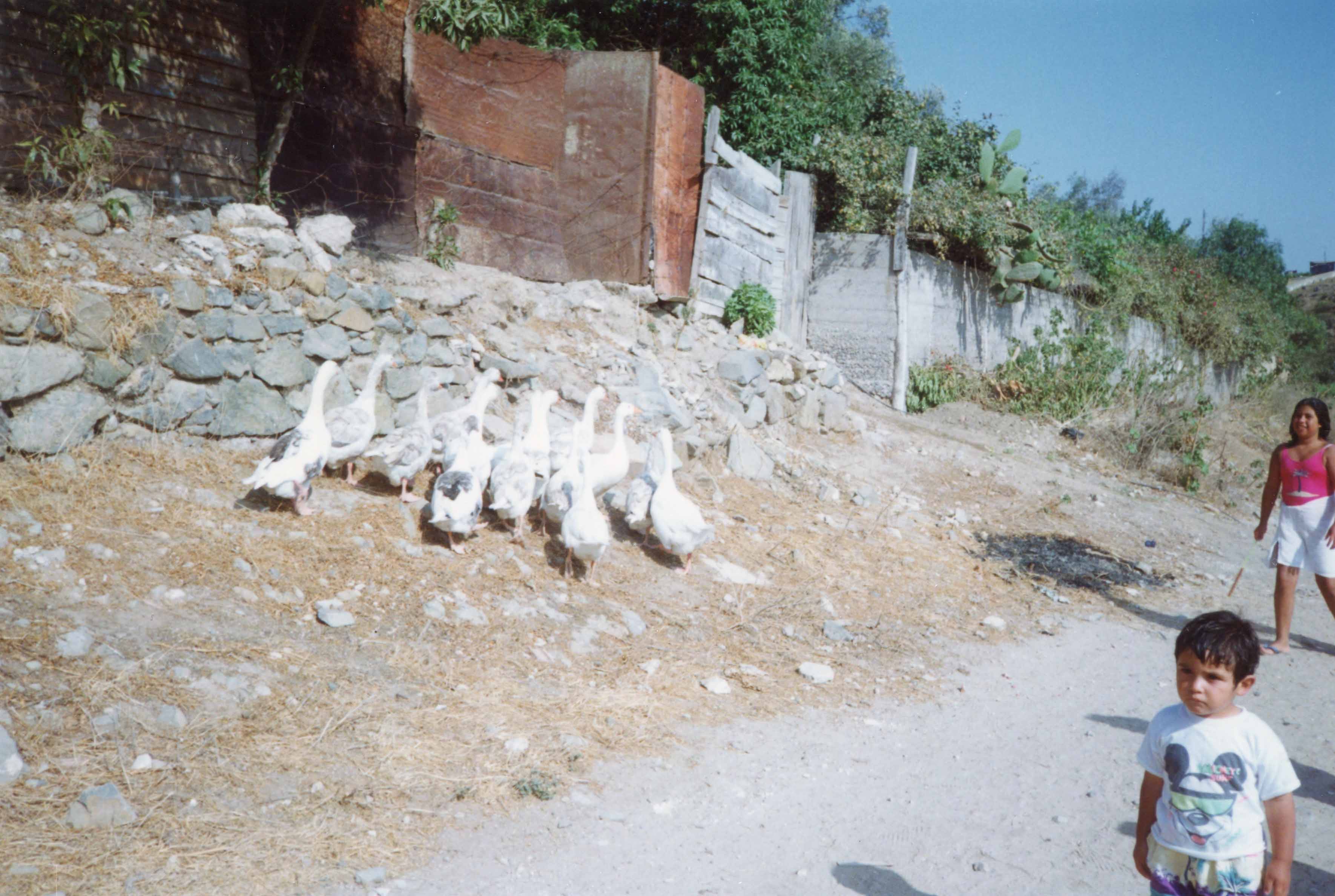 Paseo a la quebrada Paseo a la quebrada