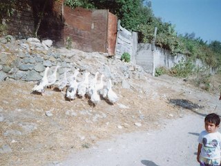 Paseo a la quebrada