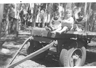Niños de la Hacienda El Tangue Niños de la Hacienda El Tangue