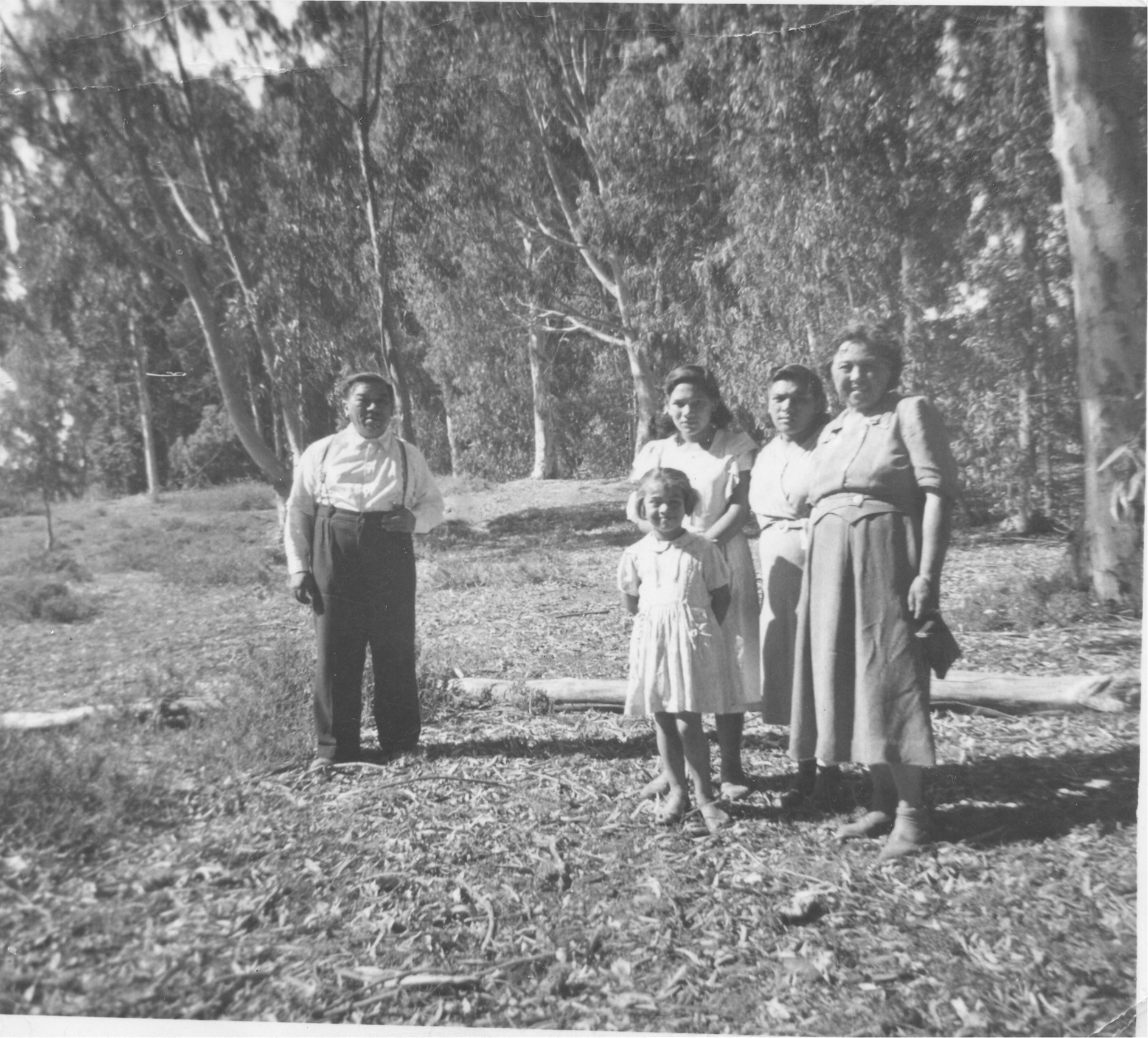 Familia Vega Cerda