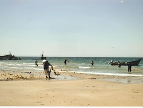 Pesca al chinchorro