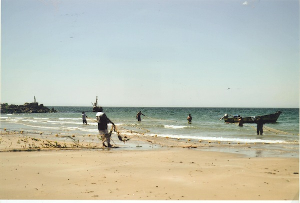 Pesca al chinchorro Pesca al chinchorro