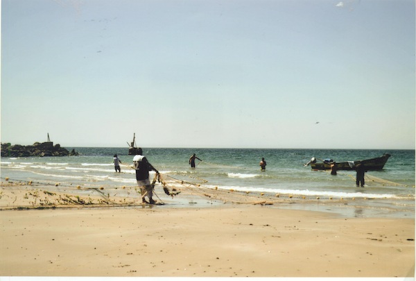 Pesca al chinchorro