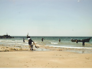 Pesca al chinchorro Pesca al chinchorro