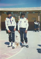 Primos en un desfile de fiestas patrias