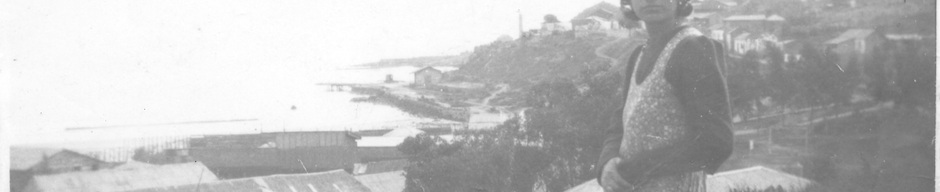 Vista panorámica desde el Hotel Miramar