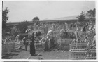 Cementerio de Tongoy Cementerio de Tongoy