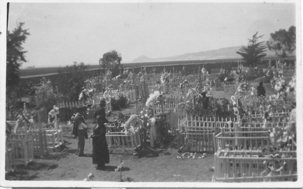 Cementerio de Tongoy Cementerio de Tongoy