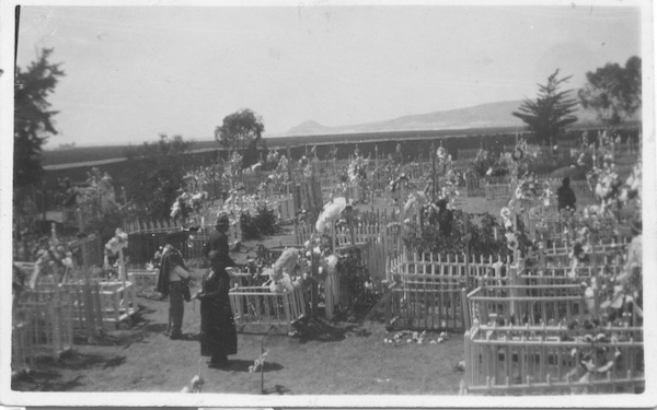 Cementerio de Tongoy