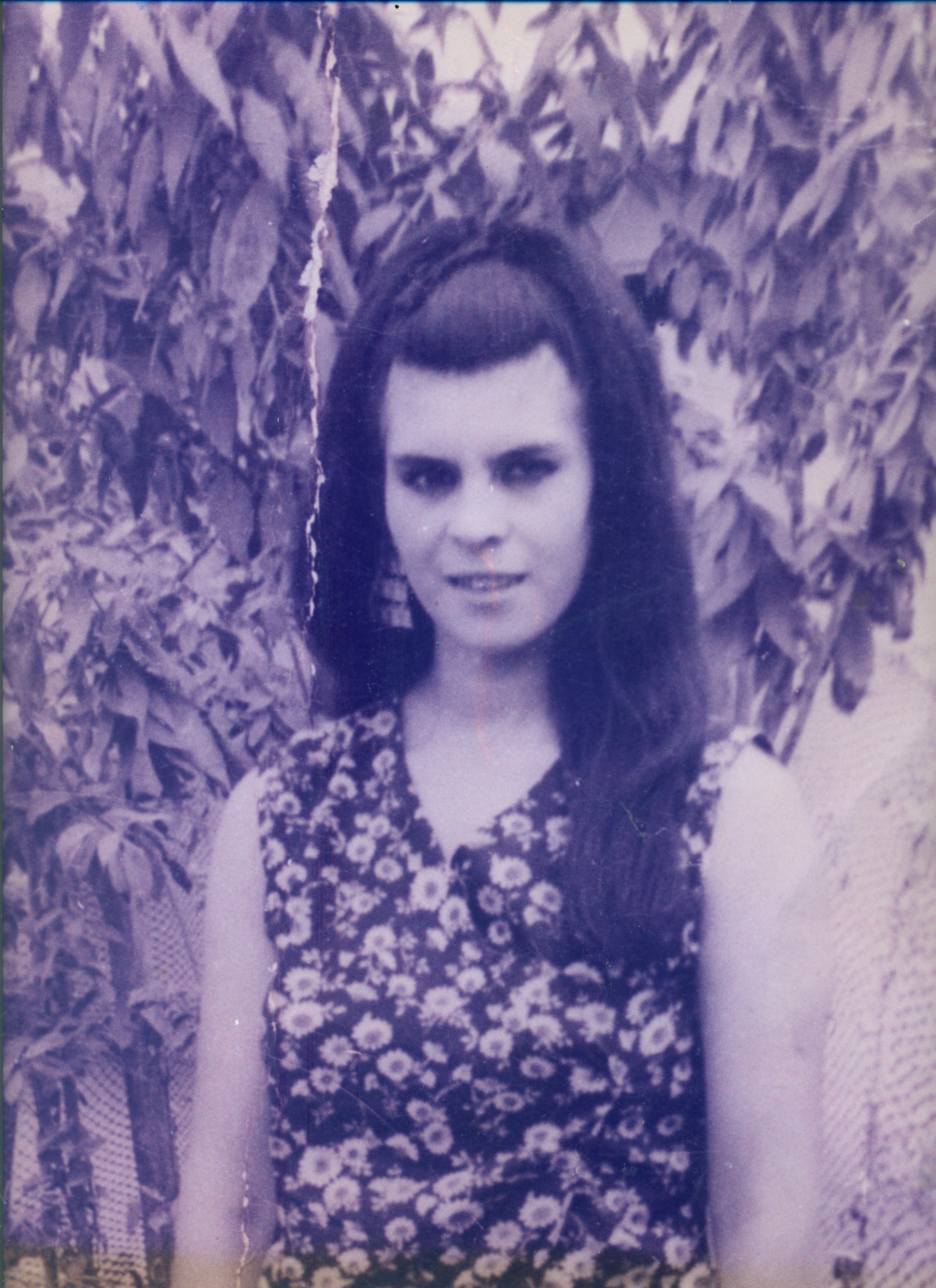 Silvia del Carmen Covarrubias Rojas Silvia del Carmen Covarrubias Rojas