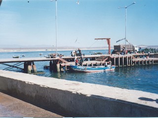 Muelle de Tongoy