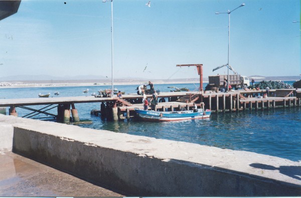 Muelle de Tongoy