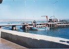 Muelle de Tongoy