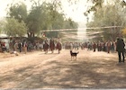 Carrera a la chilena