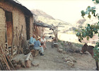 Amigos en la viña Las Piedras