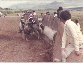 Rodeo en los Juegos Rurales de Altovalsol