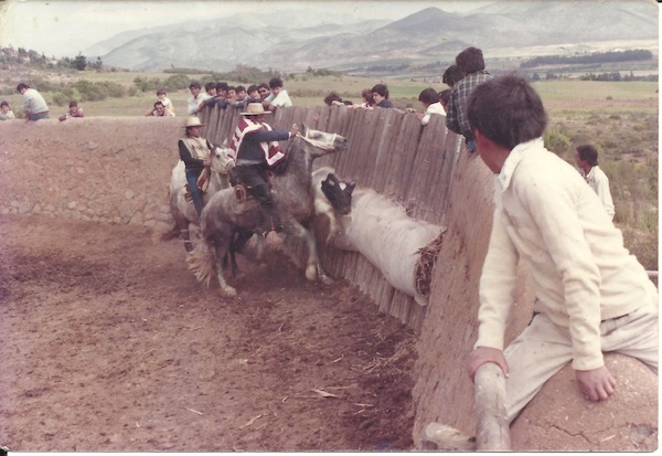 Rodeo en los Juegos Rurales de Altovalsol