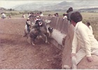 Rodeo en los Juegos Rurales de Altovalsol