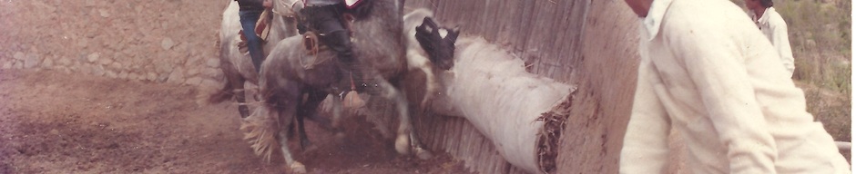 Rodeo en los Juegos Rurales de Altovalsol