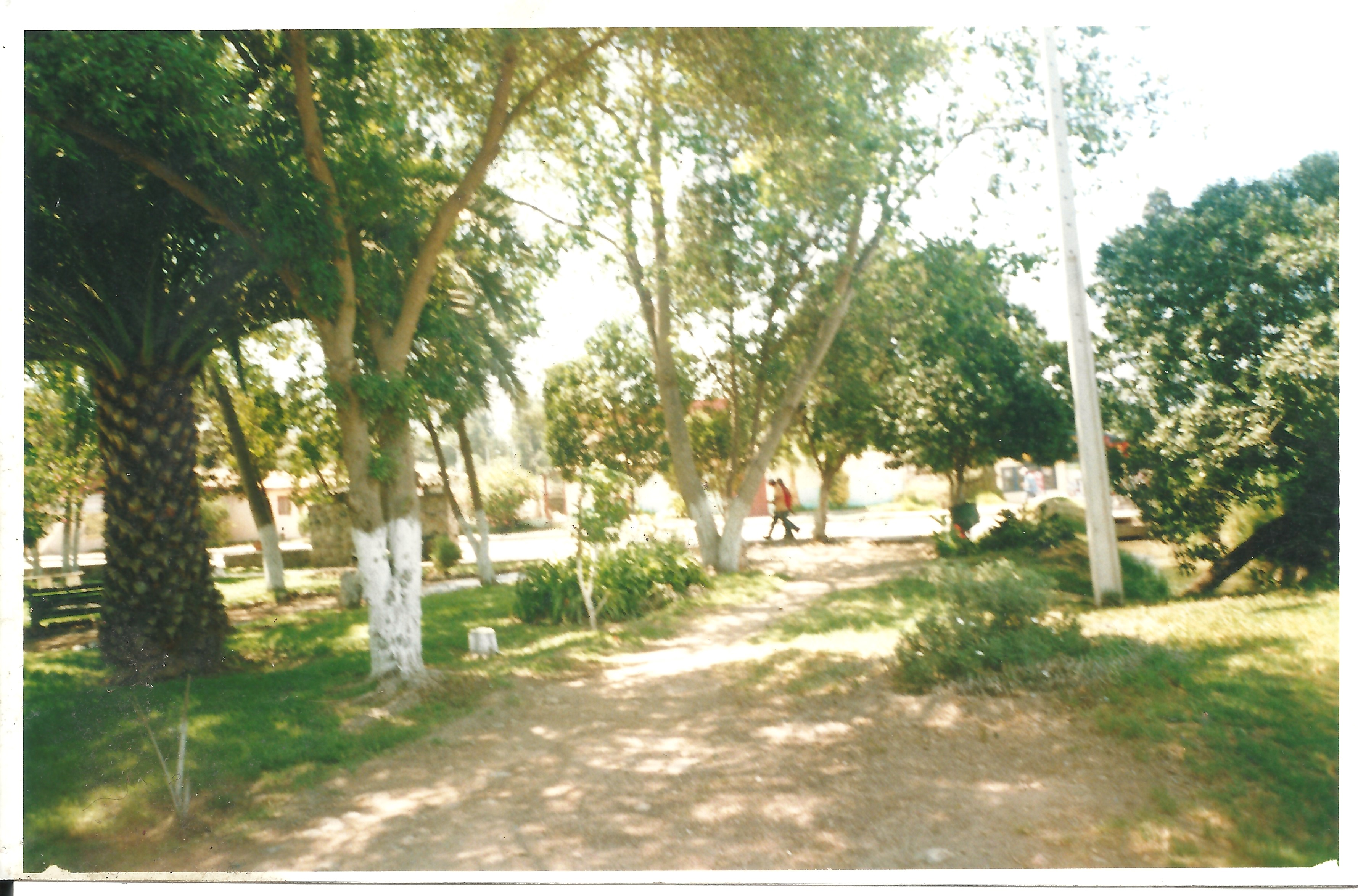 Vista de la plaza de Altovalsol