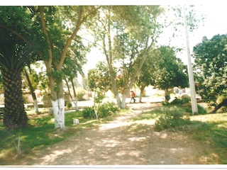 Vista de la plaza de Altovalsol