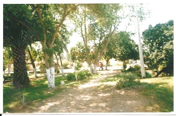 Vista de la plaza de Altovalsol Vista de la plaza de Altovalsol