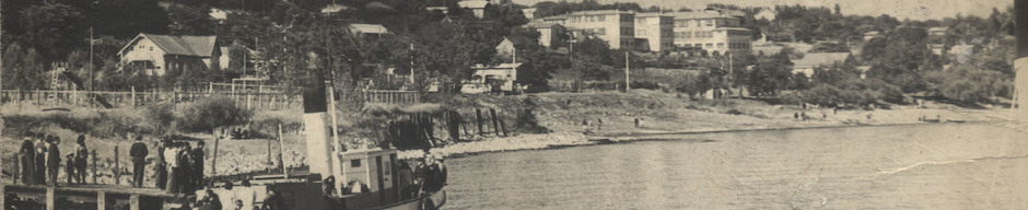 Muelle de Lago Ranco