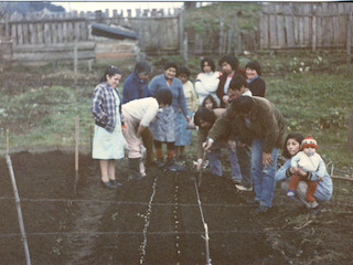 Huerto comunitario en Puerto Octay