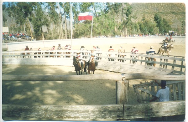 Rodeo de Tulahuén Rodeo de Tulahuén