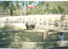 Rodeo de Tulahuén