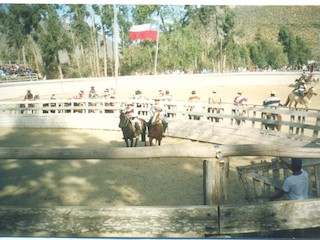 Rodeo de Tulahuén