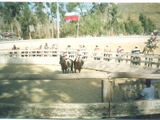 Rodeo de Tulahuén Rodeo de Tulahuén