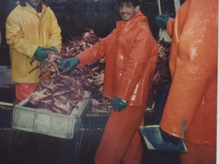 Extracción de centolla en Punta Arenas Extracción de centolla en Punta Arenas