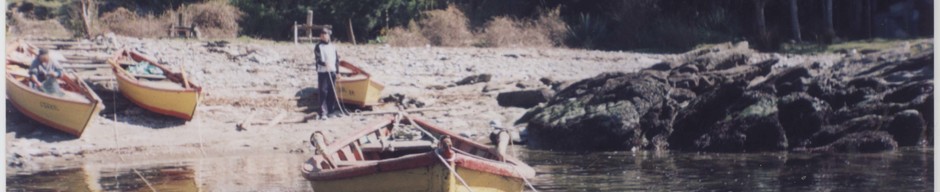 Pescador artesanal en el muelle San Carlos