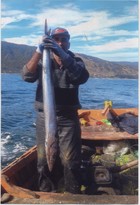 Pesca de sierra en Corral