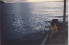 Pesca de róbalo Pesca de róbalo