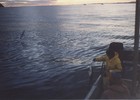 Pesca de róbalo Pesca de róbalo