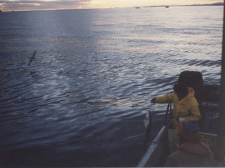 Pesca de róbalo