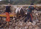 Transporte de pescados Transporte de pescados