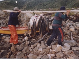 Transporte de pescados