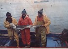 Pesca en Punta Gruesa Pesca en Punta Gruesa
