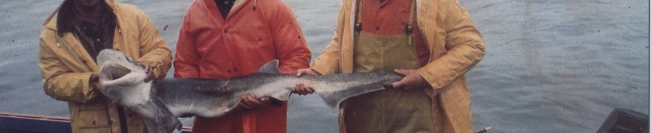 Pesca en Punta Gruesa