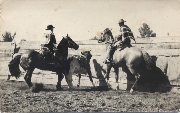 Rodeo de Lago Ranco