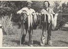 Campeonato de pesca en Lago Ranco