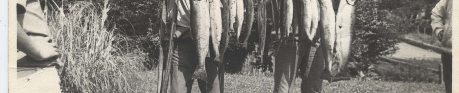 Campeonato de pesca en Lago Ranco