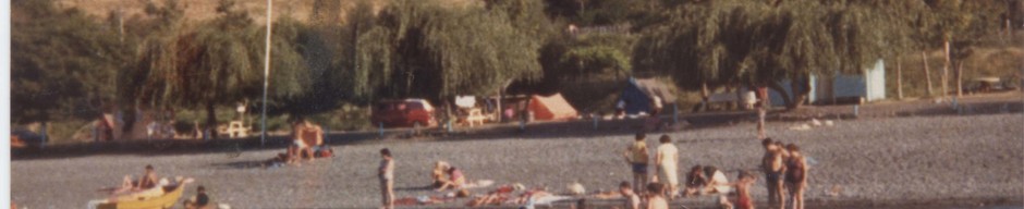 Playa de Lago Ranco