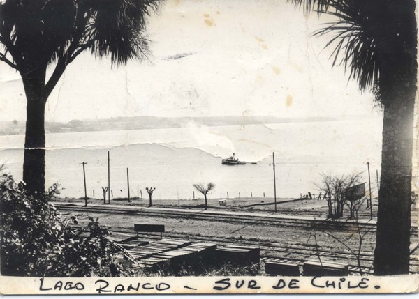 Vista del lago Ranco Vista del lago Ranco