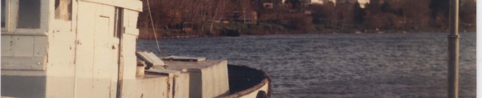 Barcaza en el muelle de Lago Ranco